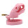 Sea Creature Chastity Cage - Small - Pink