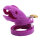 Sea Creature Chastity Cage - Small - Purple