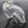 Dolphin Chastity Cage - Large - Transparent