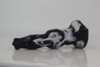 Curly Coated Retriever - Aurora