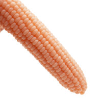 Corn Shape - Flesh
