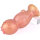 Koi Fish - Ovipositor Dildo - Gold Dragon